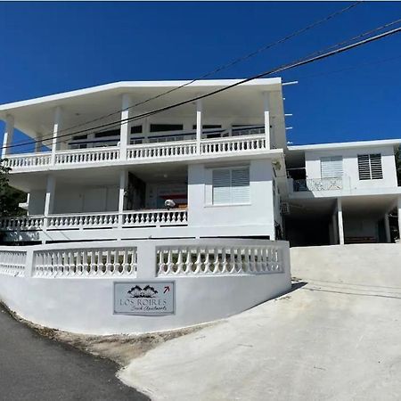 Los Roires Beach Apartments Fajardo Buitenkant foto
